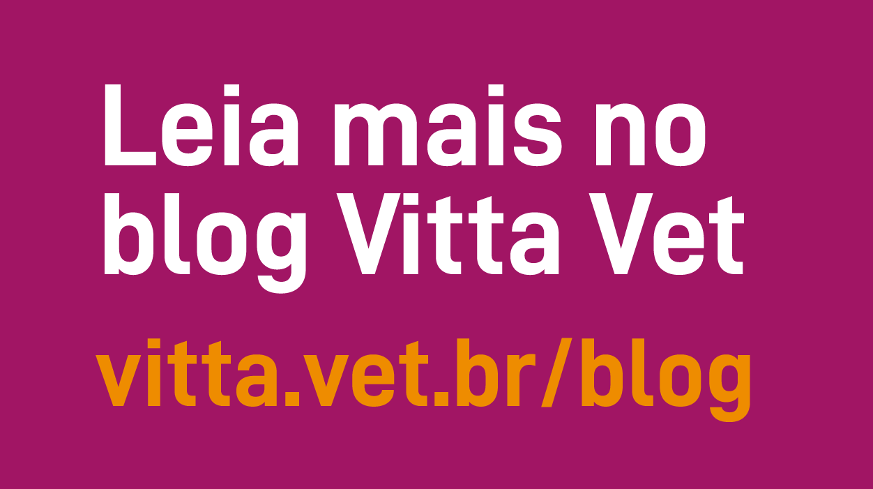 Consequuntur vel distinctio.