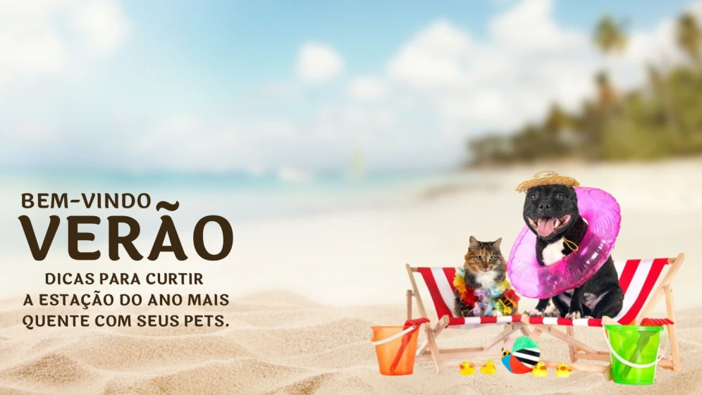 Boas festas 