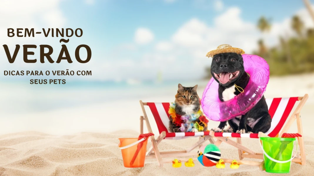 Dicas para curtir o verão com seu pet.